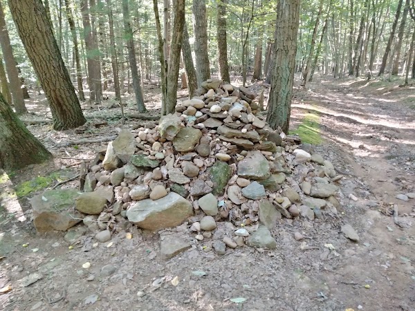 Manchester Recreation Center - Image 2