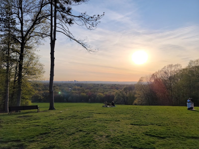 Wickham Park thumbnail