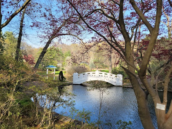 Wickham Park - Image 2