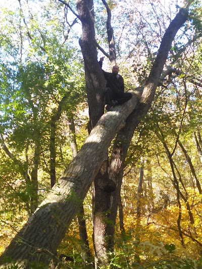 LEROY DOLITTLE MEMORIAL COURT - Image 2
