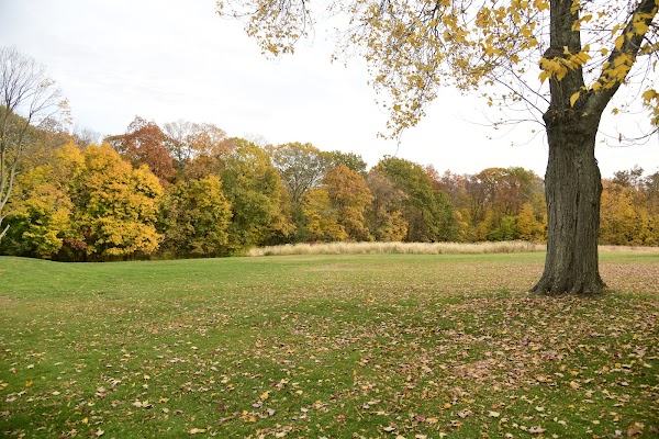 Waveny Park - Image 2