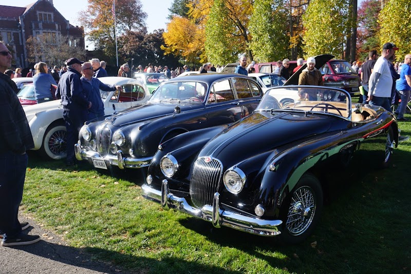 New Canaan Recreation Department - Image 3