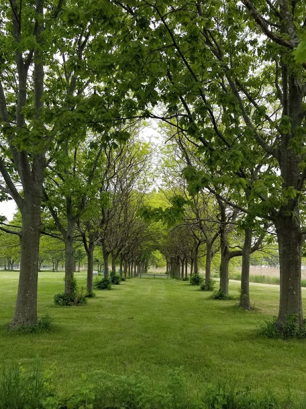 East Shore Park thumbnail