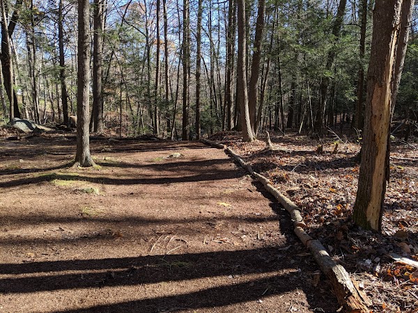 Orchard Hill Nature Center - Image 3