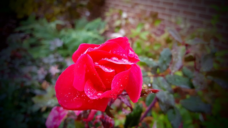 East Lyme Community Center thumbnail