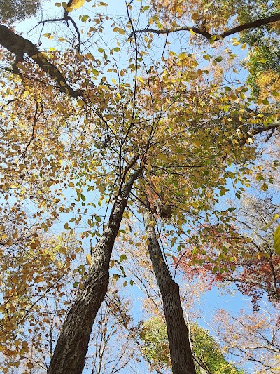 Plainfield Recreation Department thumbnail