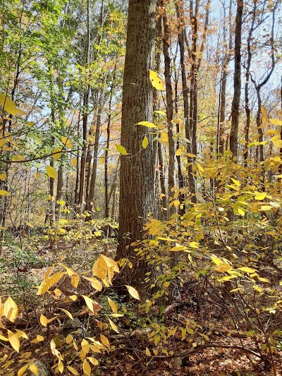 Plainfield Recreation Department - Image 2