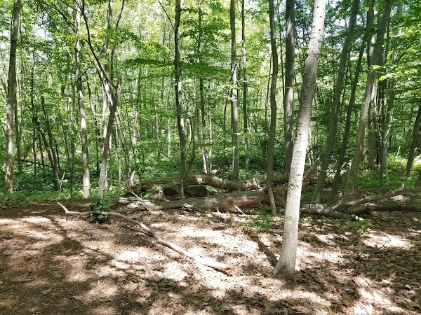 Panthorn Park - Image 2