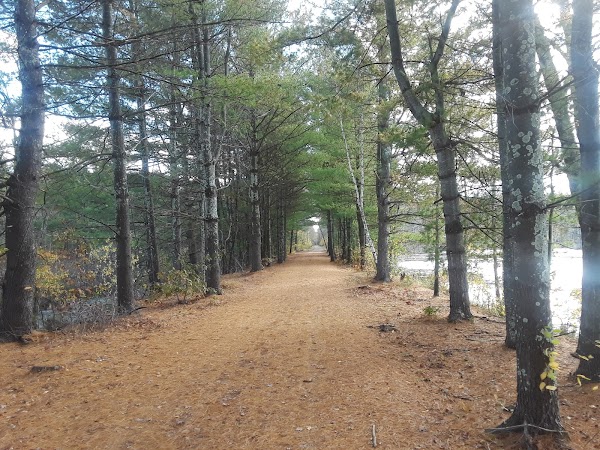 Pomfret Recreation Park - Image 2