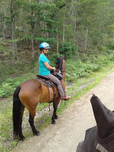 Pomfret Recreation Park - Image 3