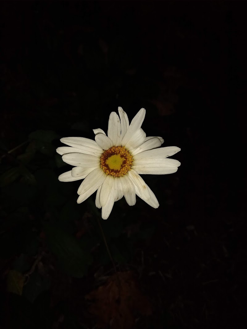 Southbury Parks & Recreation thumbnail