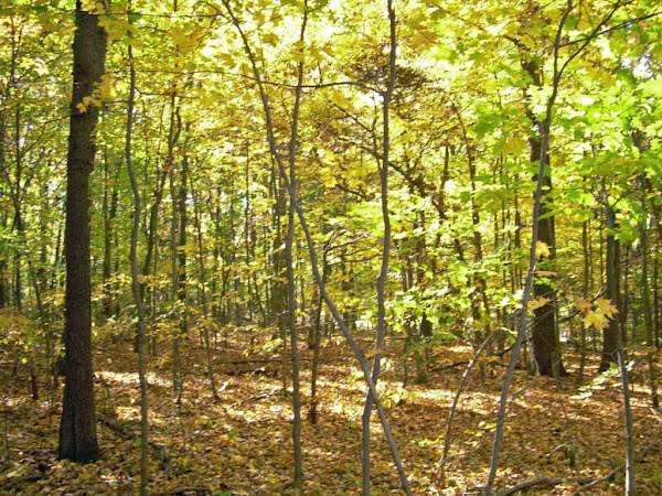 Southington Memorial Park