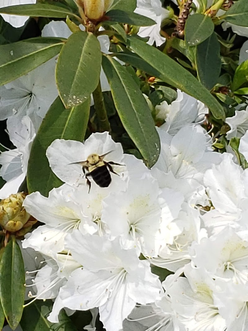 Hunt Tennis Center thumbnail