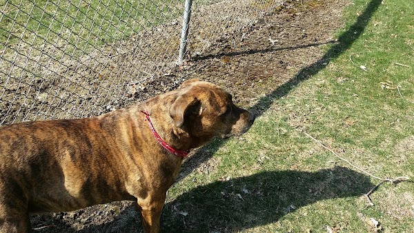 Leary Park thumbnail