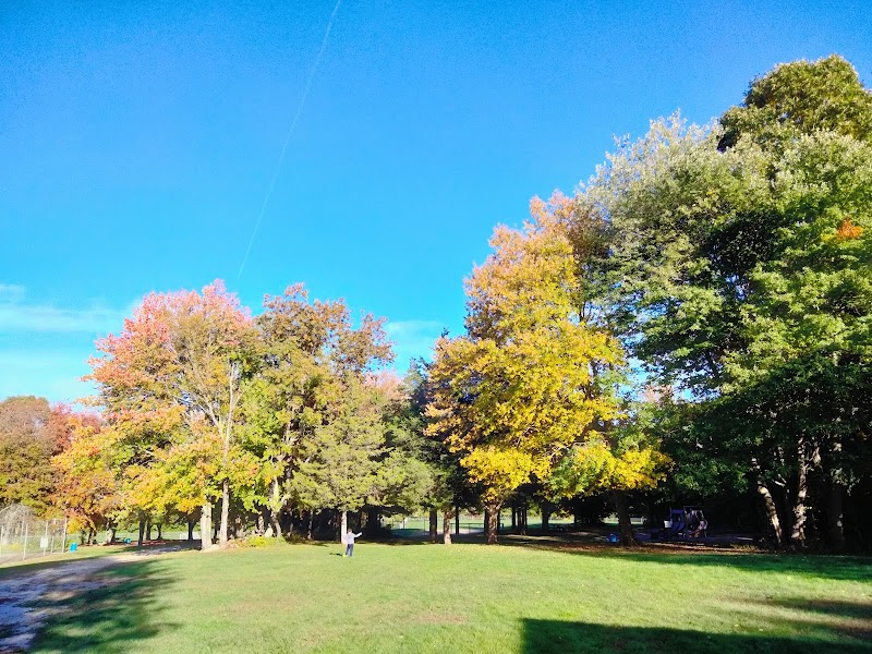 Leary Park - Image 2