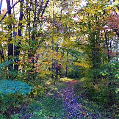 Watertown Parks & Recreation - Image 2