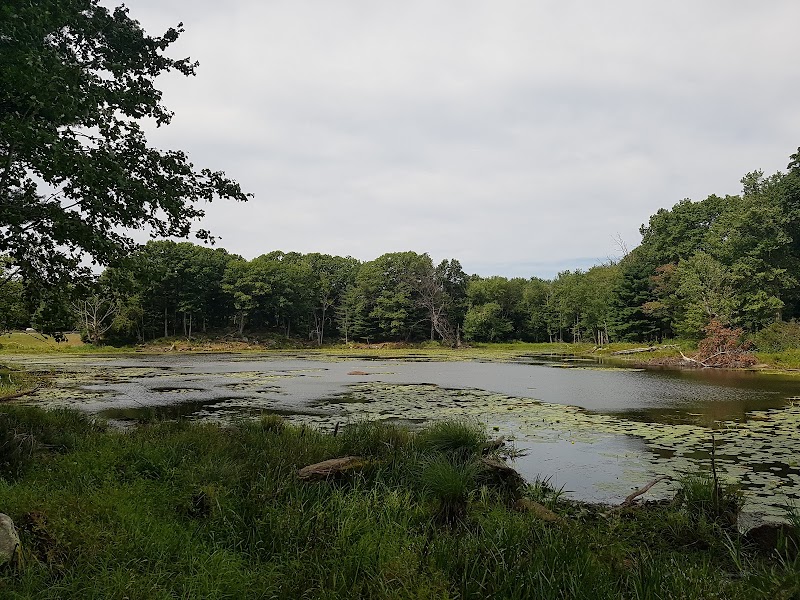 Watertown Parks & Recreation - Image 3