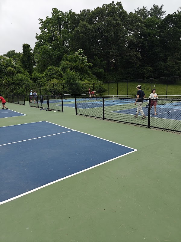 Buena Vista Pickleball Courts thumbnail