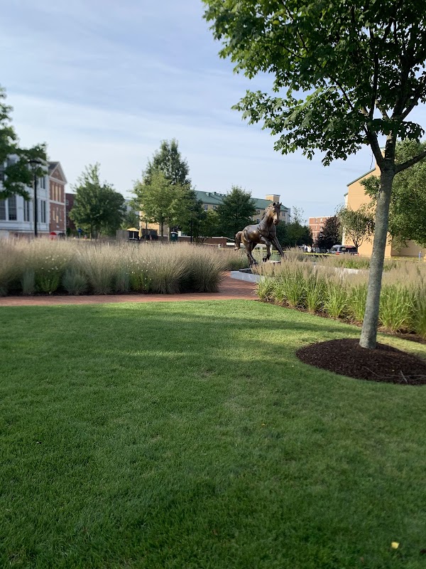 David A. Beckerman Recreation Center - Image 2