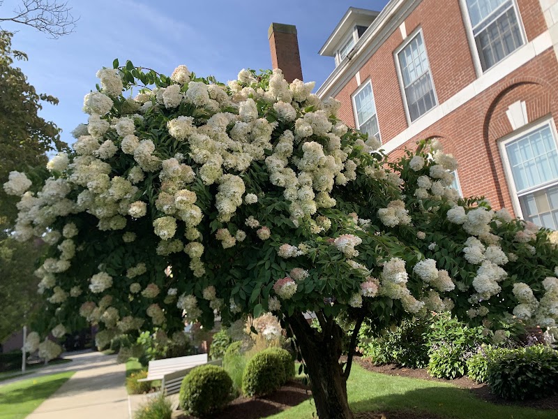 David A. Beckerman Recreation Center - Image 3