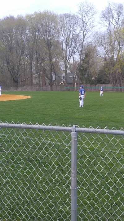 Town Farm Ball Complex - Image 3