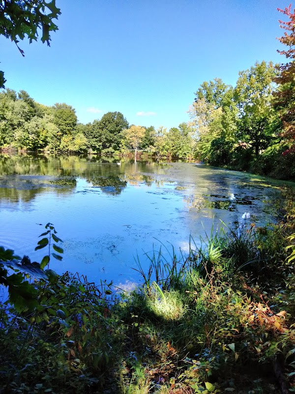 Mill Woods Park - Image 3