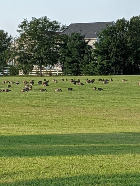 Silver Lake Park thumbnail