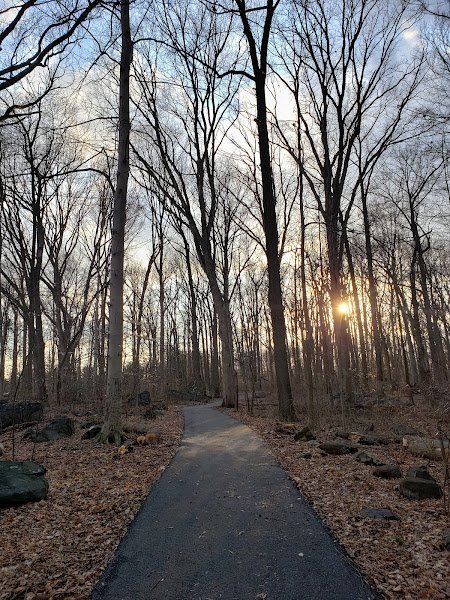 Bechtel Park - Image 2