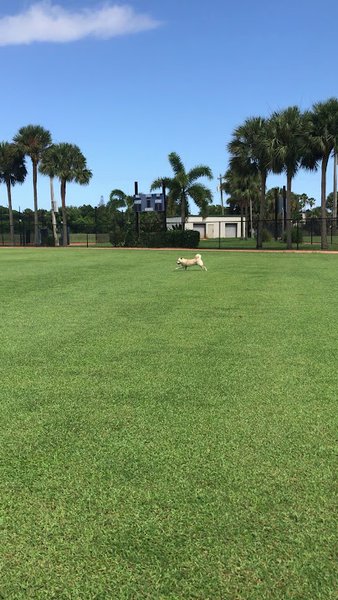 Lake Catherine Sports Complex thumbnail