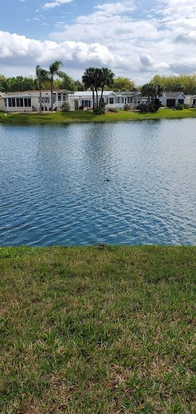 Willow Lakes Golf thumbnail