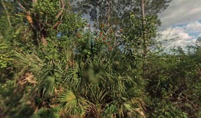 Citrus Park thumbnail