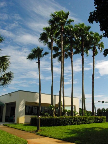 Boynton Beach Tennis Center thumbnail