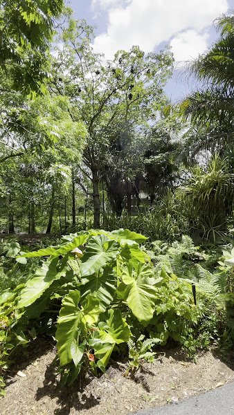 Constitution Park - Image 2