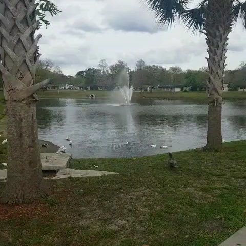 Earl Brown Park - Image 2