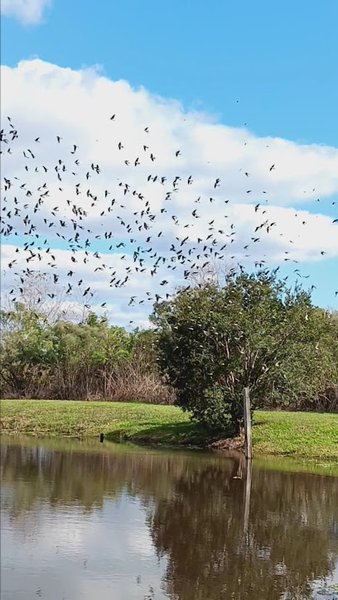 Pine Meadows Recreation Area thumbnail