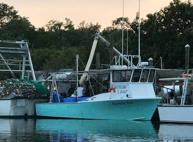 Everglades Isle thumbnail