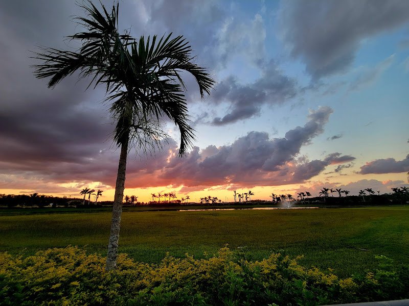 Arborwood Preserve Town Center thumbnail