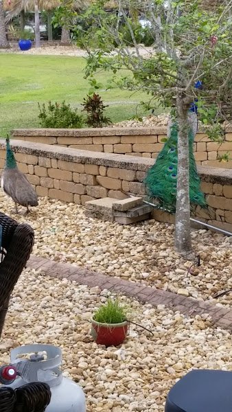 Cypress Trail RV Resort thumbnail