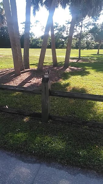 Haverhill Park - Image 2