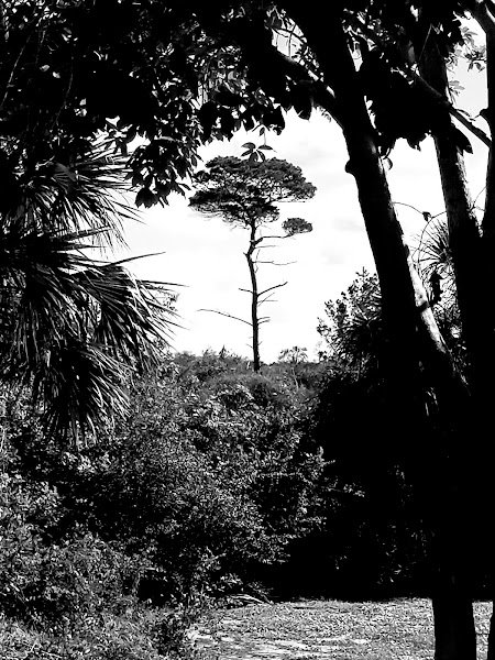 County Line Park - Image 2