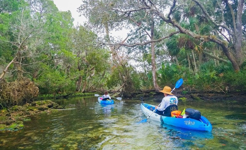 Homosassa Florida thumbnail