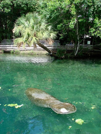 Homosassa Springs thumbnail