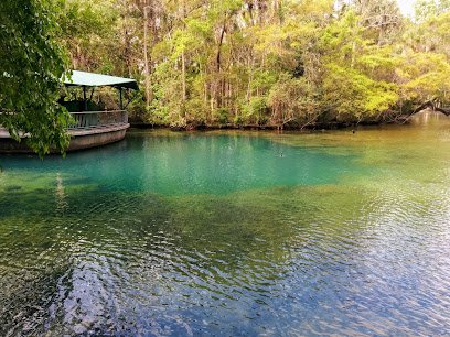 Ellie Schiller Homosassa Springs Wildlife State Park thumbnail