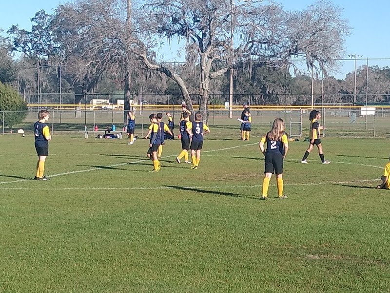 Veterans Memorial Park - Image 3