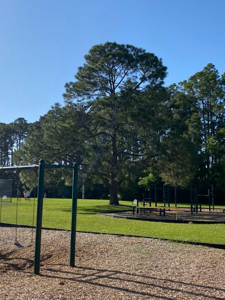 Isle of Palms Park JAX thumbnail