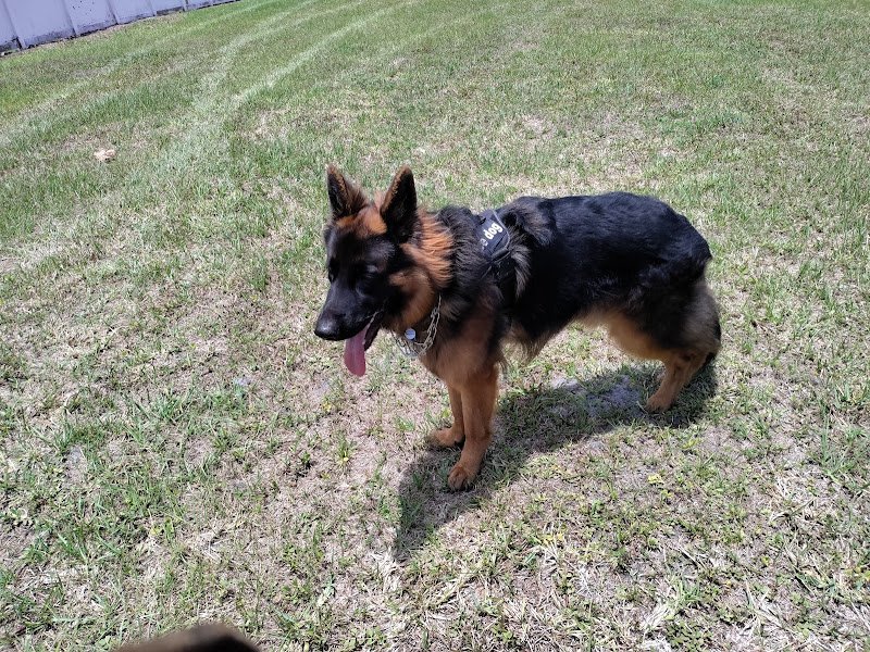 Woodlake Park - Image 2