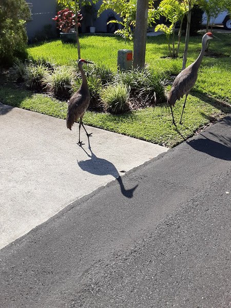 Woodlake Park - Image 3