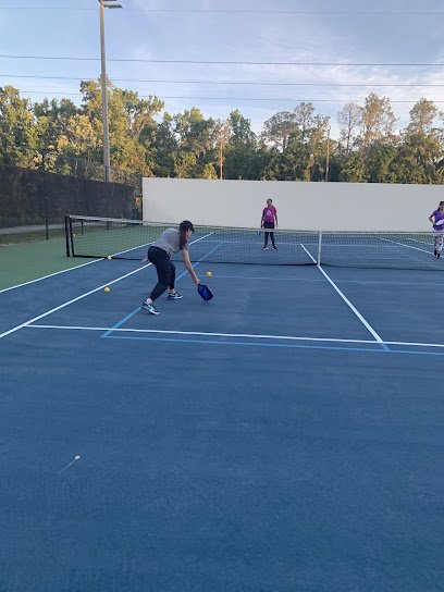 We Play Pickleball preview