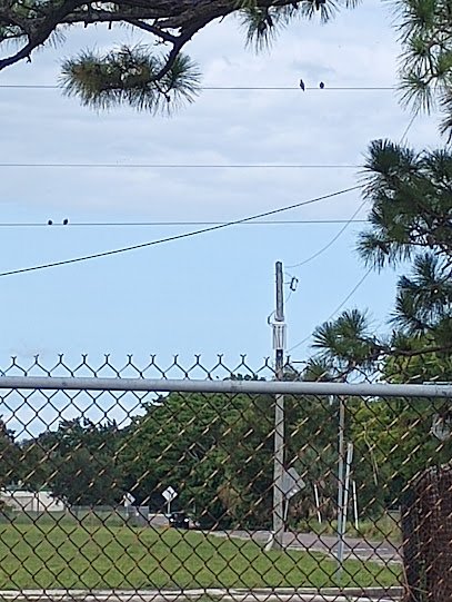 Woody Simpson Community Center thumbnail