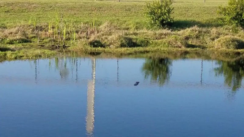 Mitchell Ellington Park - Image 2